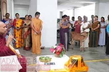 අධිකරණ අමාත්යාංශයෙන් මරණයට කැපවූ ගවයෙකුට ජීවිත දානය