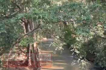 කිරිදි ඔයේ දියනෑමට ගිය හිමිනමට අත් වූ අවාසනාවන්ත ඉරණම