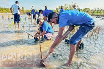 කඩොලාන දිනය වෙනුවෙන්...