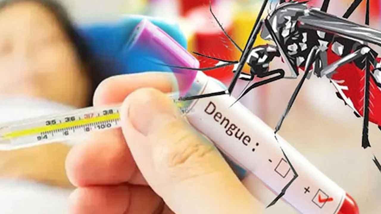 ඩෙංගු මරණ 71 දක්වා ඉහළට