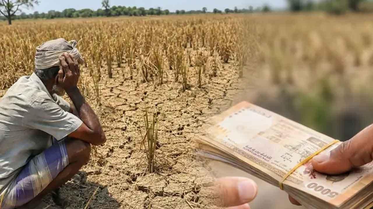 වියළි කාලගුණයෙන් ගොවීන් 7,000කට බලපෑම්