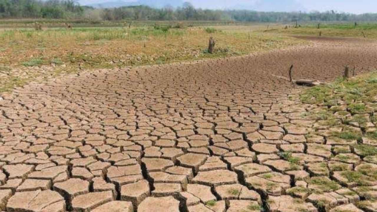 වියළි කාලගුණයෙන් සිදුවූ වගා හානි ගැන හෙළිදරව්වක්