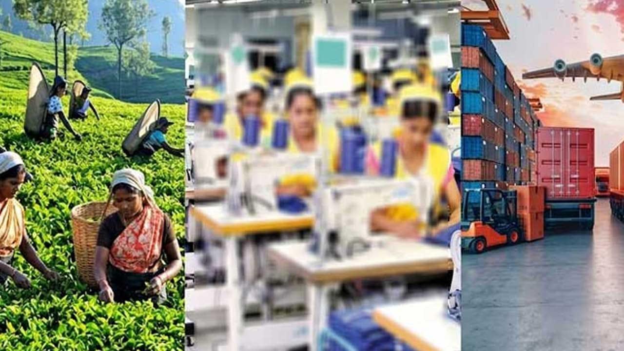 ජූලි මාසයේ තේ, පොල් සහ ඇඟලුම් අපනයන ආදායම පහළට