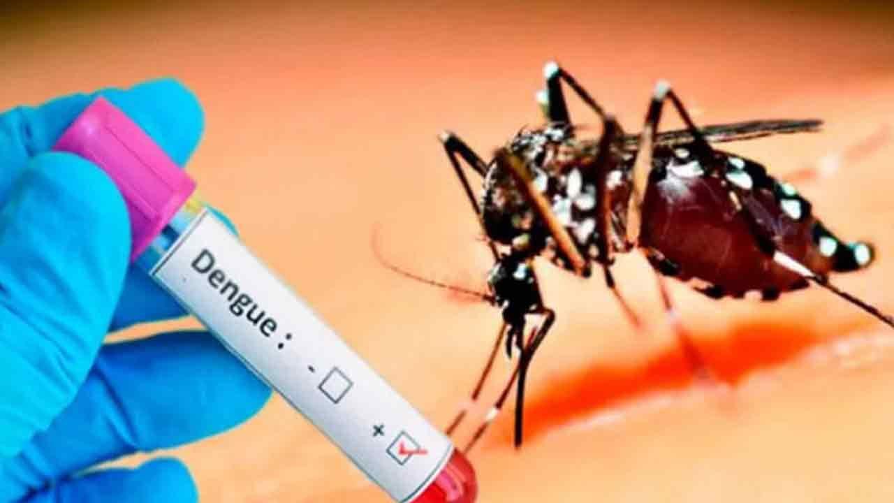 ඩෙංගු මරණ ගණන 73ක් දක්වා ඉහළට