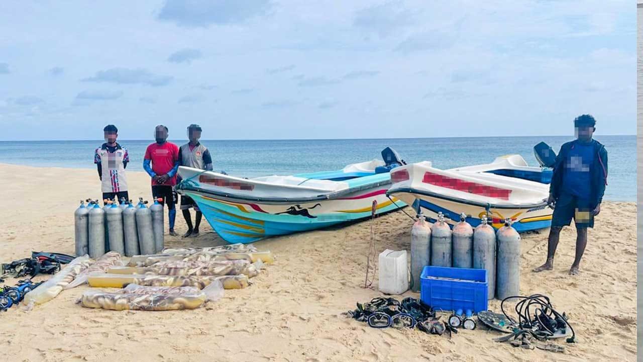 නීතිවිරෝධී ලෙස මුහුදු කූඩැල්ලන් ඇල්ලූ සැකකරුවන් 7ක් නීතියේ රැහැනට