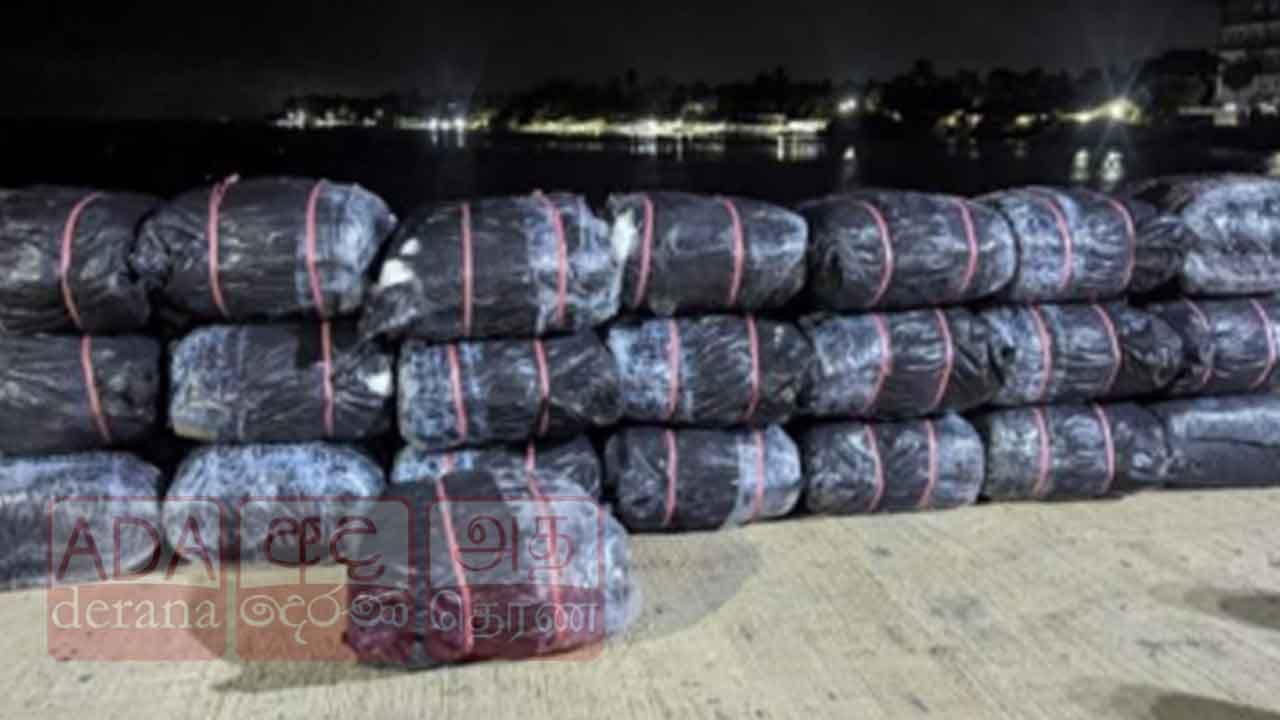 නීතිවිරෝධීව ගෙනා බීඩි කොළ කිලෝග්රෑම් 821ක් සමඟ සැකකරුවන් දෙදෙනෙකු නාවික හමුදා භාරයට