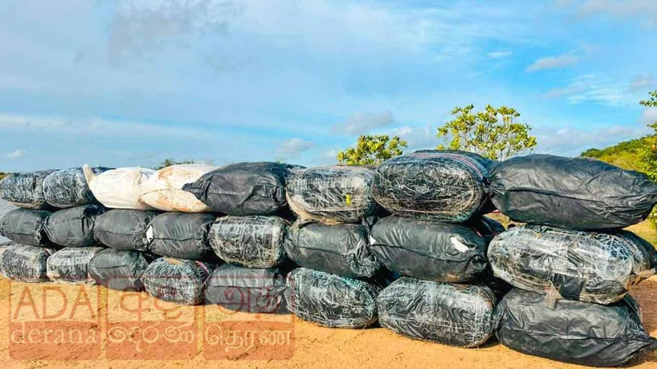 නීතිවිරෝධීව ගෙනා බීඩි කොළ තොගයක් නාවික හමුදා භාරයට