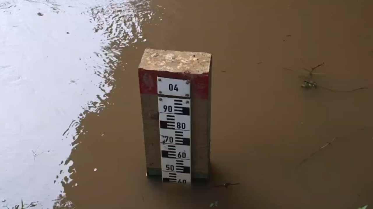 ගංගාවල ජල මට්ටම් පහත බසියි