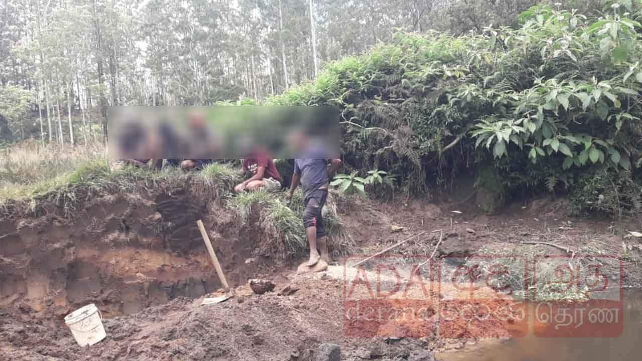 රක්ෂිතයක අනවසර මැණික් ගැරූ පස් දෙනෙකුට වැඩ වරදී