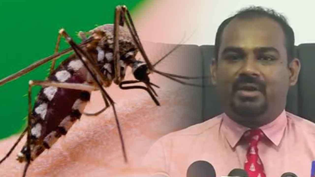 වැසි සමග ඩෙංගු වැඩිවීමේ අවදානමක්