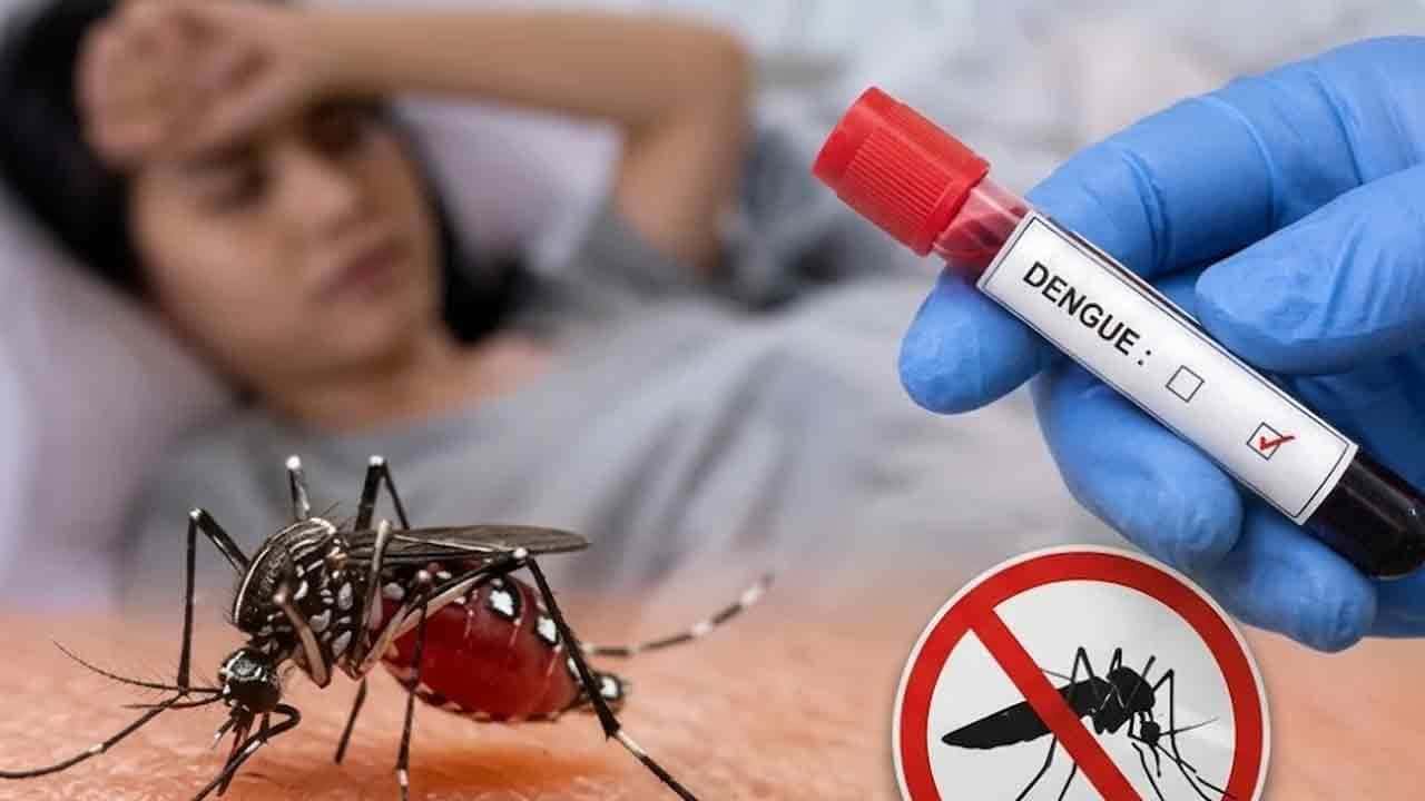 ඩෙංගු මරණ සංඛ්යාව 81ක් දක්වා ඉහළට