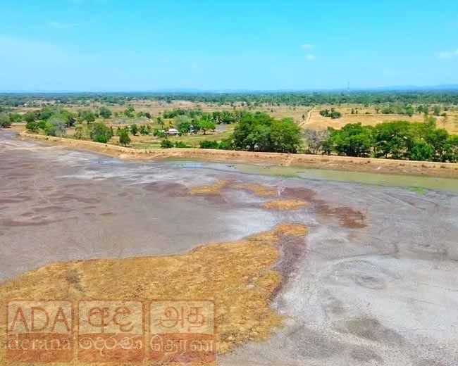 නියඟය...