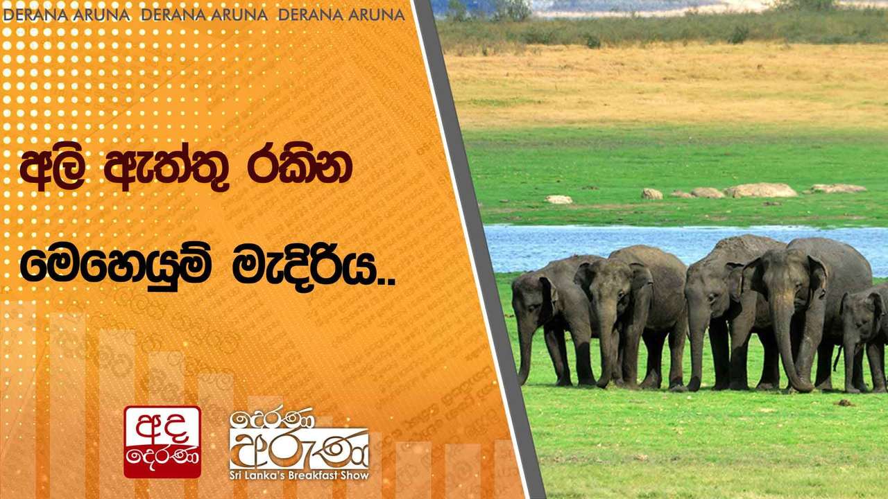 අලි ඇත්තු රකින මෙහෙයුම් මැදිරිය..