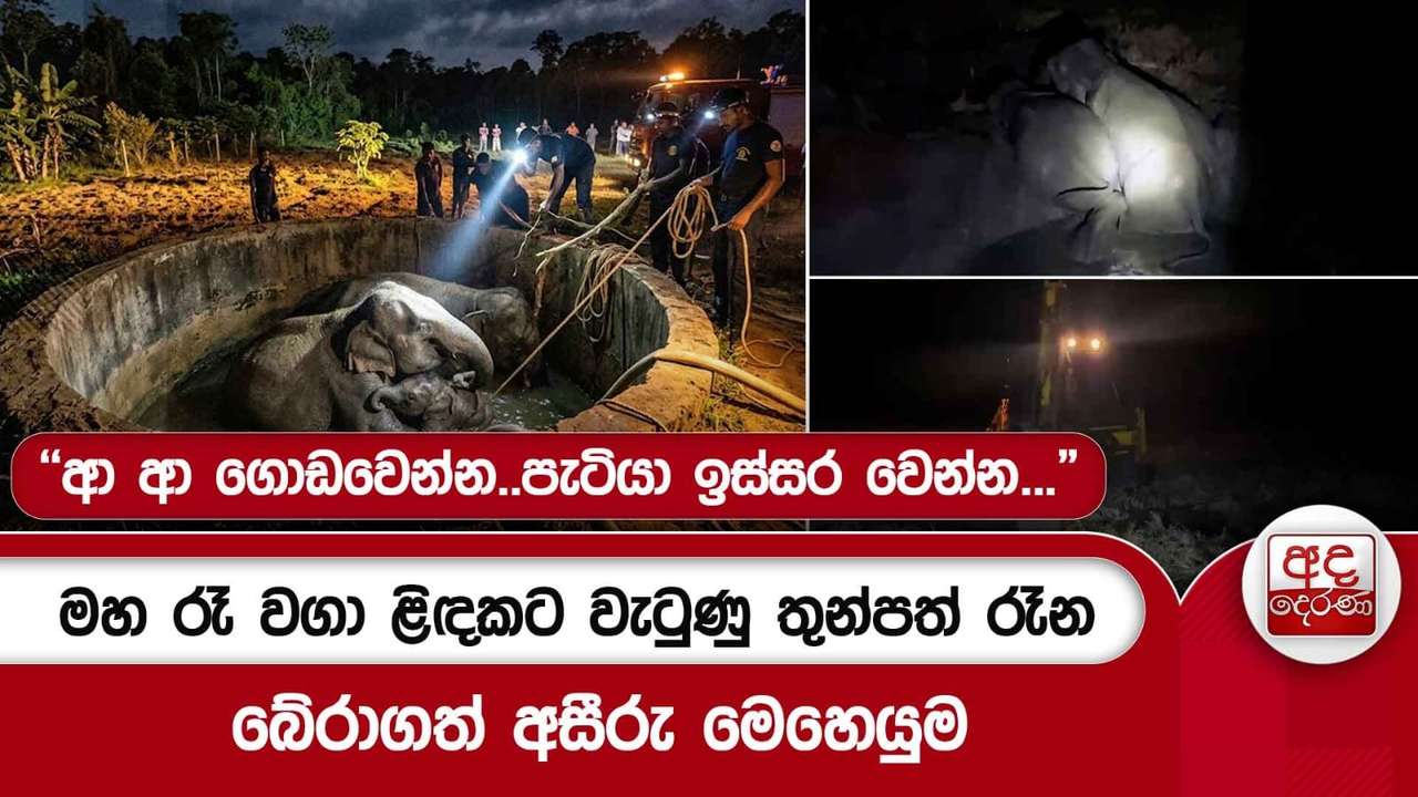 මහ රෑ වගා ළිඳකට වැටුණු තුන්පත් රෑන බේරාගත් අසීරු මෙහෙයුම....
