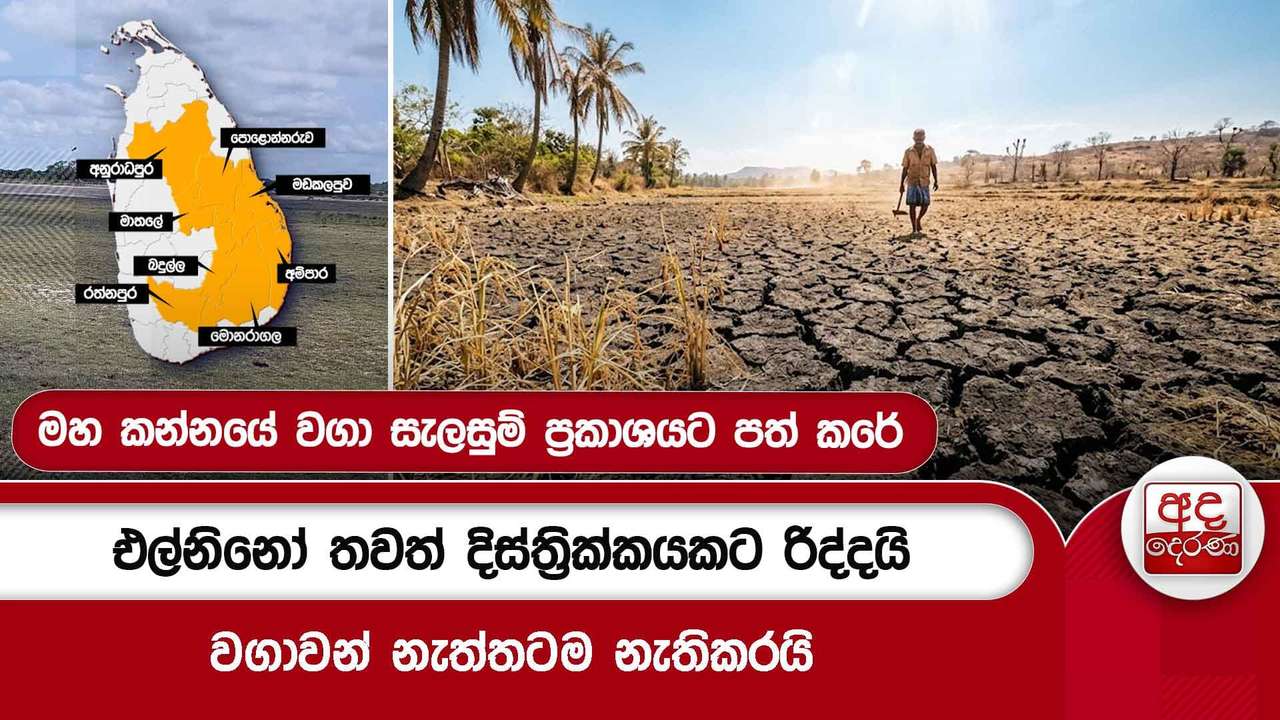 එල්නිනෝ තවත් දිස්ත්රික්කයකට රිද්දයි - වගාවන් නැත්තටම නැතිකරයි