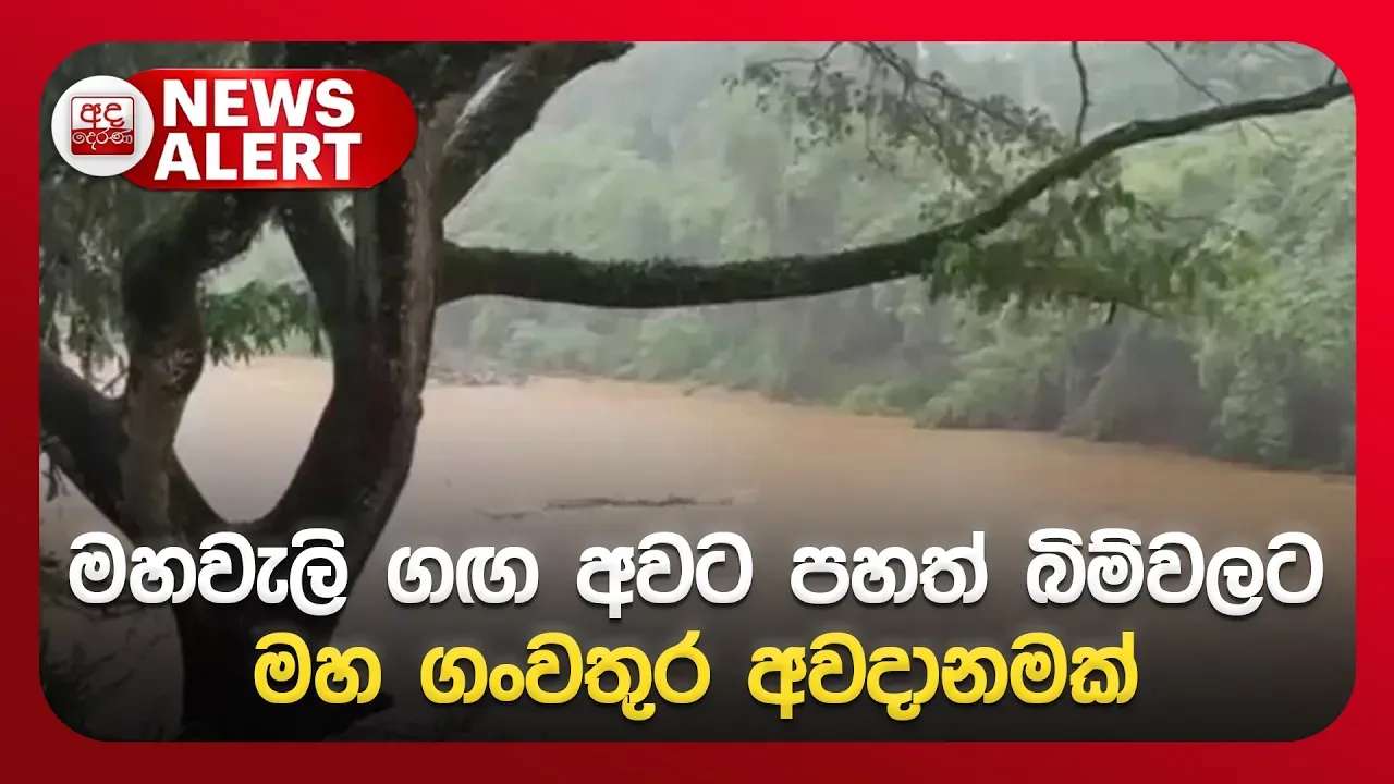 🔴NEWS ALERT🚨| මහවැලි ගඟ අවට පහත් බිම්වලට මහ ගංවතුර අවදානමක් | Ada Derana