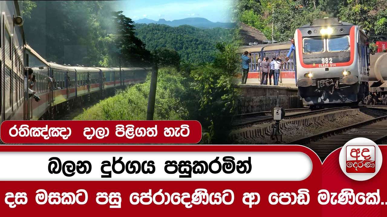 බලන දුර්ගය පසුකරමින් දස මසකට පසු පේරාදෙණියට ආ පොඩි මැණිකේ... | රතිඤ්ඤා දාලා පිළිගත් හැටි