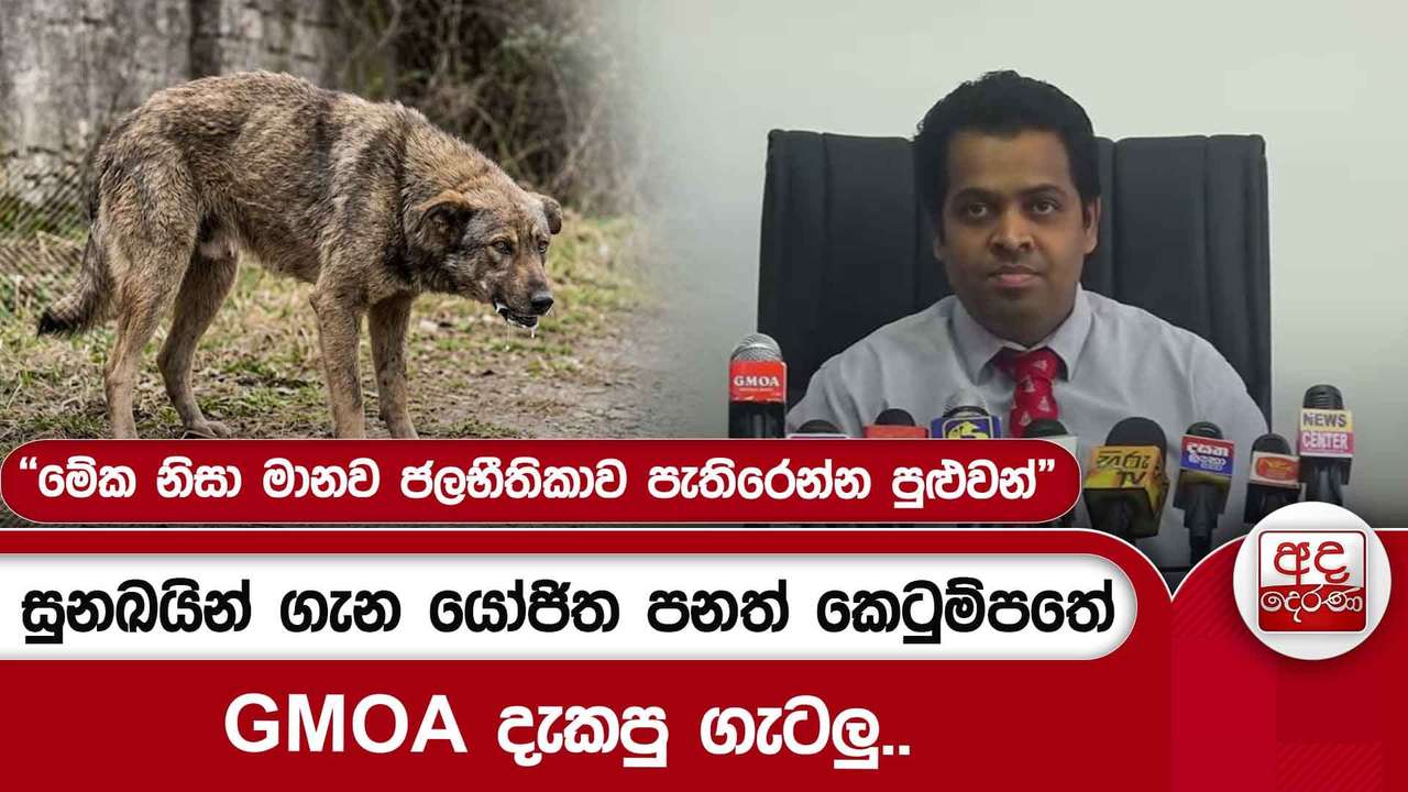 සුනඛයින් ගැන යෝජිත පනත් කෙටුම්පතේ GMOA දැකපු ගැටලු.."මේක නිසා මානව ජලභීතිකාව පැතිරෙන්න පුළුවන්"