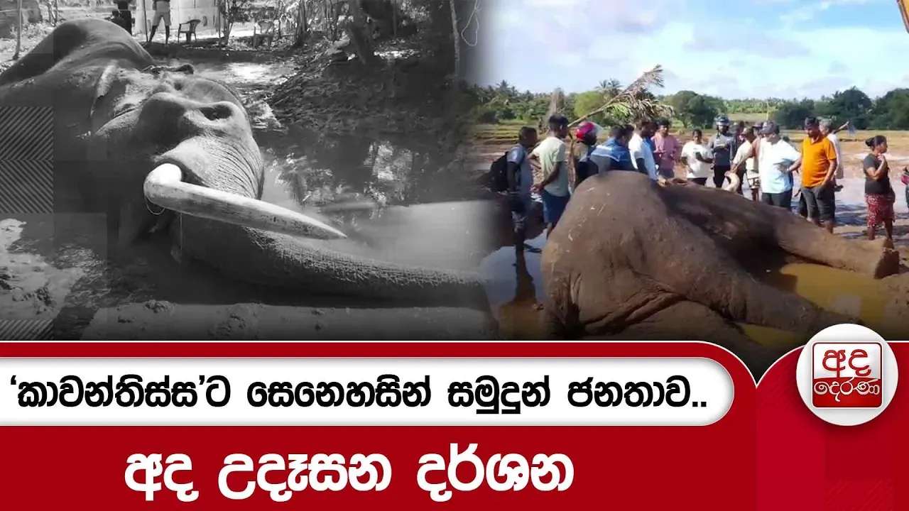 'කාවන්තිස්ස'ට සෙනෙහසින් සමුදුන් ජනතාව.. | Ada Derana