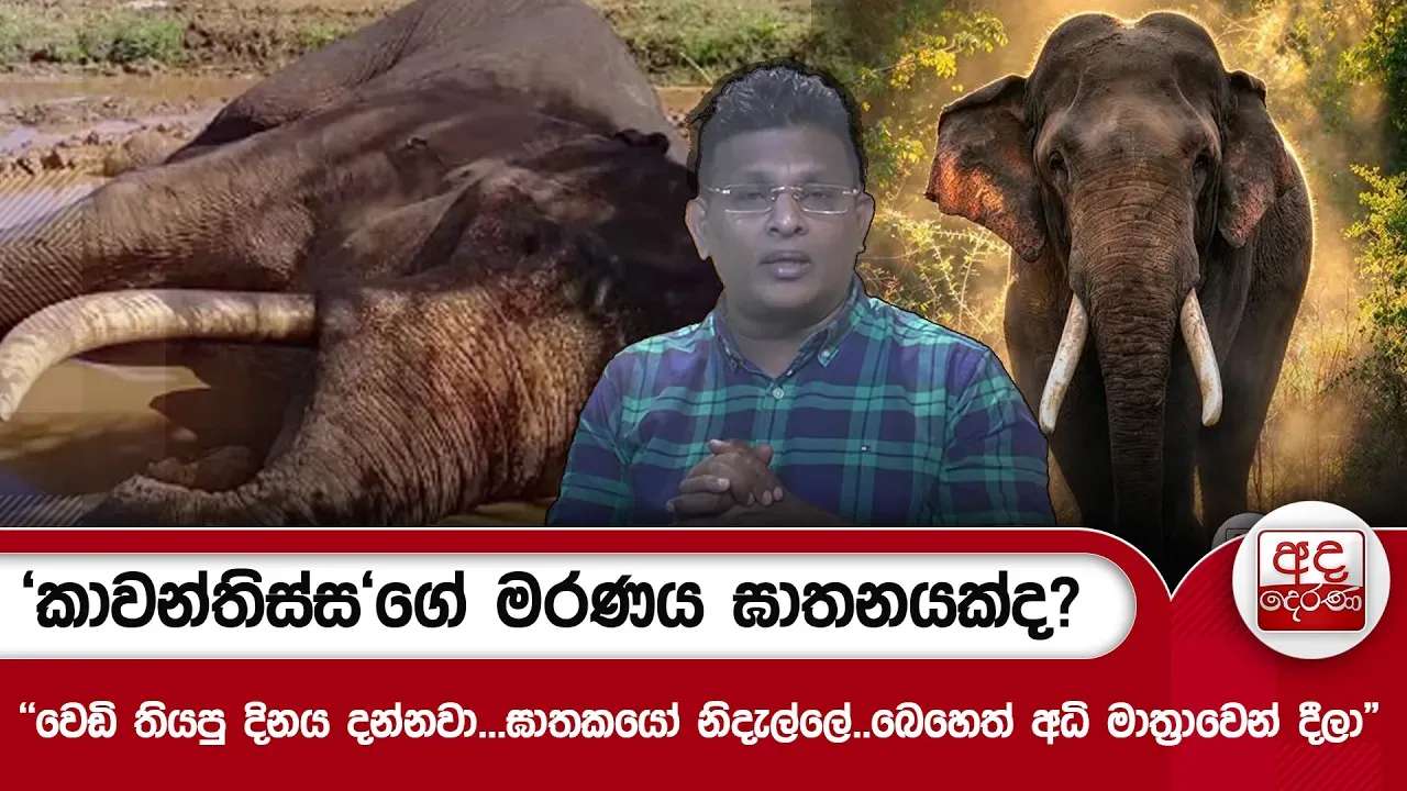 'කාවන්තිස්ස'ගේ මරණය ඝාතනයක්ද?"වෙඩි තියපු දිනය දන්නවා...ඝාතකයෝ නිදැල්ලේ..බෙහෙත් අධි මාත්රාවෙන් දීලා"