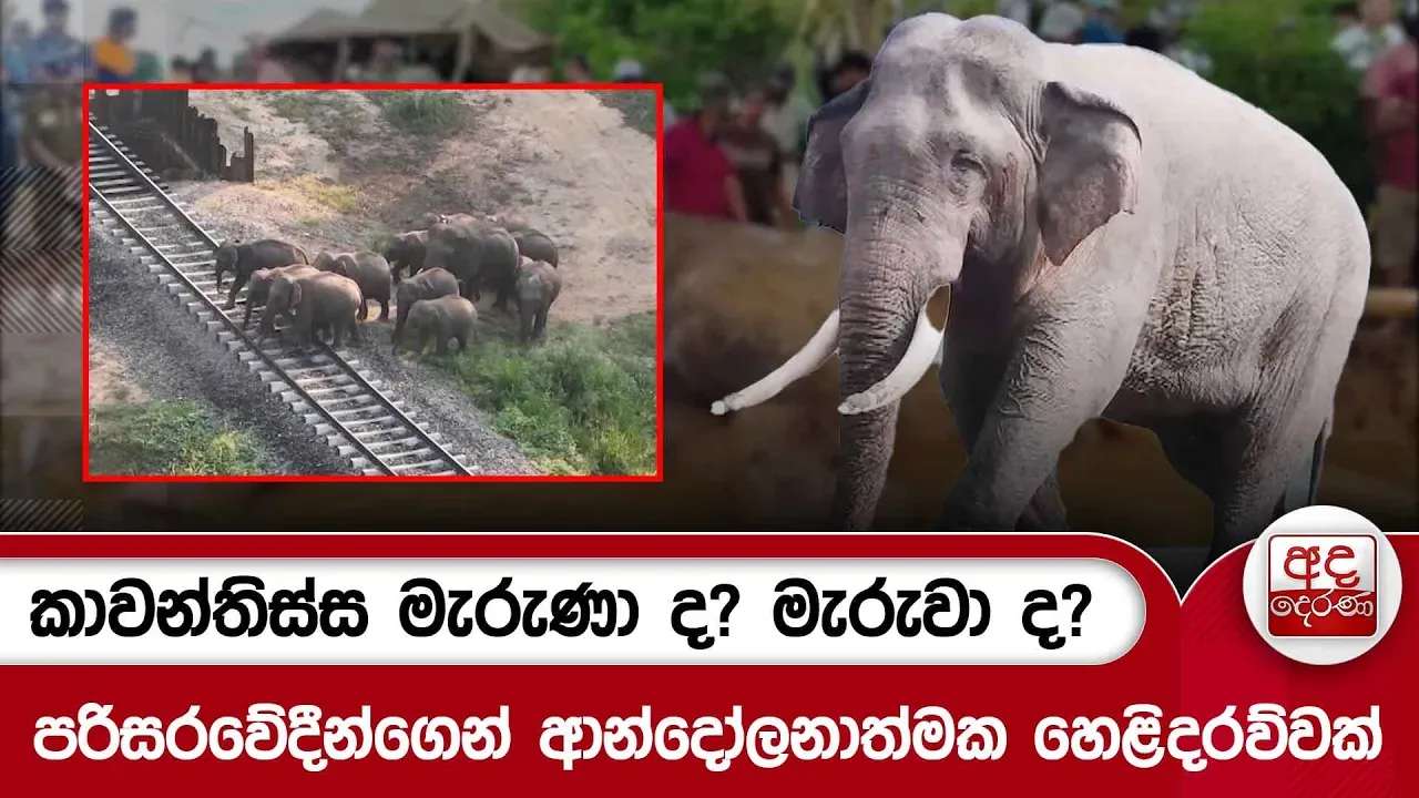 කාවන්තිස්ස මැරුණා ද? මැරුවා ද? - ''මේ මස් වැද්දෝ නීතිය ඉදිරියට ගේන්න'' | Ada Derana